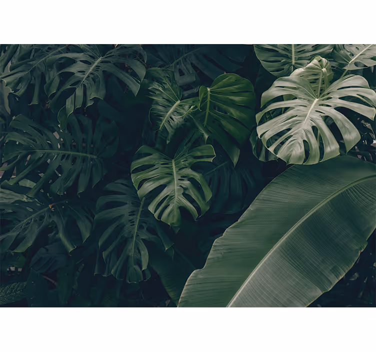 Blind bedroom in a beautiful green jungle forest - TenStickers