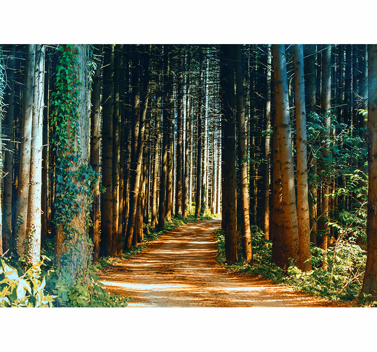 Blind bedroom beautiful nature path tree gate - TenStickers