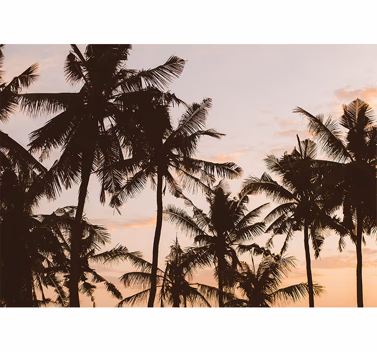 Blind bedroom sunset palm tree - TenStickers