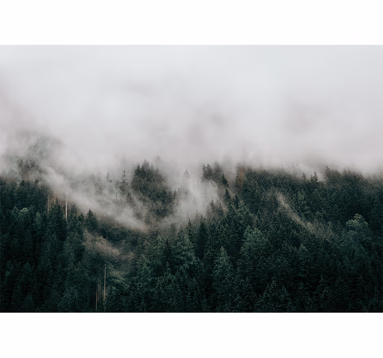 Blind bedroom in forest misty clouds - TenStickers