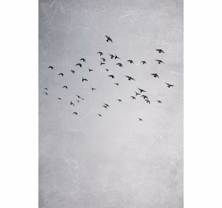 Blind bedroom with soaring birds design - TenStickers