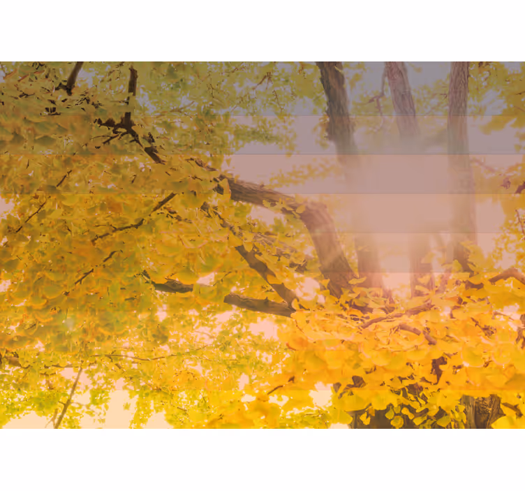 Blind children in a sparkling autumn scene - TenStickers