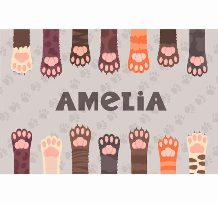 Blind children fluffy multicolored cat paws set - TenStickers