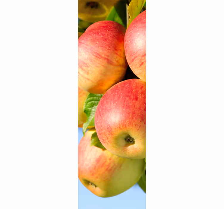 Blind kitchen decorative vinyl apple tree - TenStickers