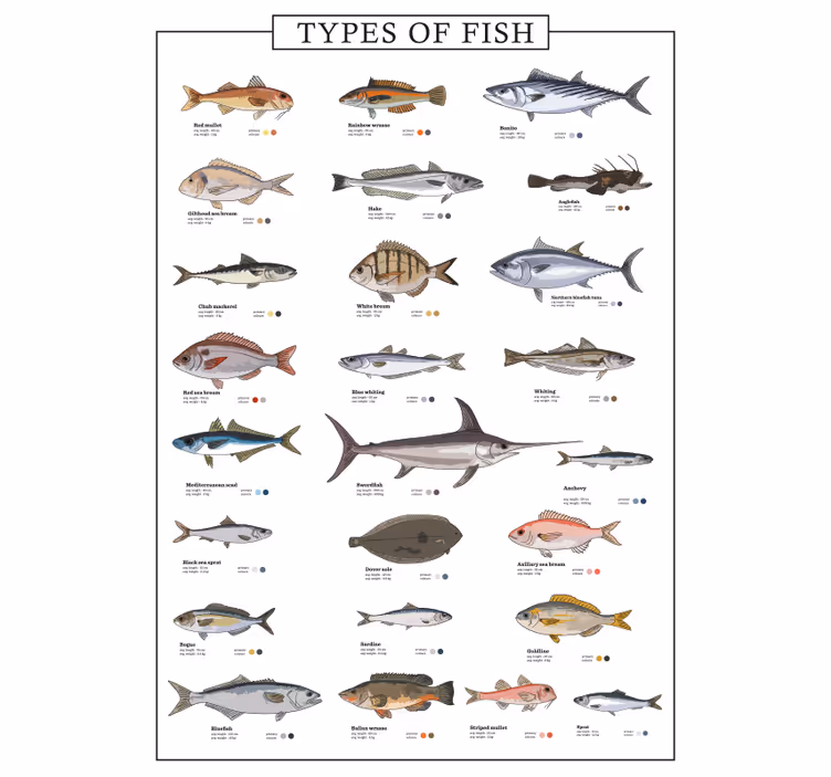 Blind kitchen fish catcher - TenStickers