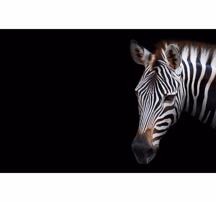 Black roller blind zebra print design - TenStickers