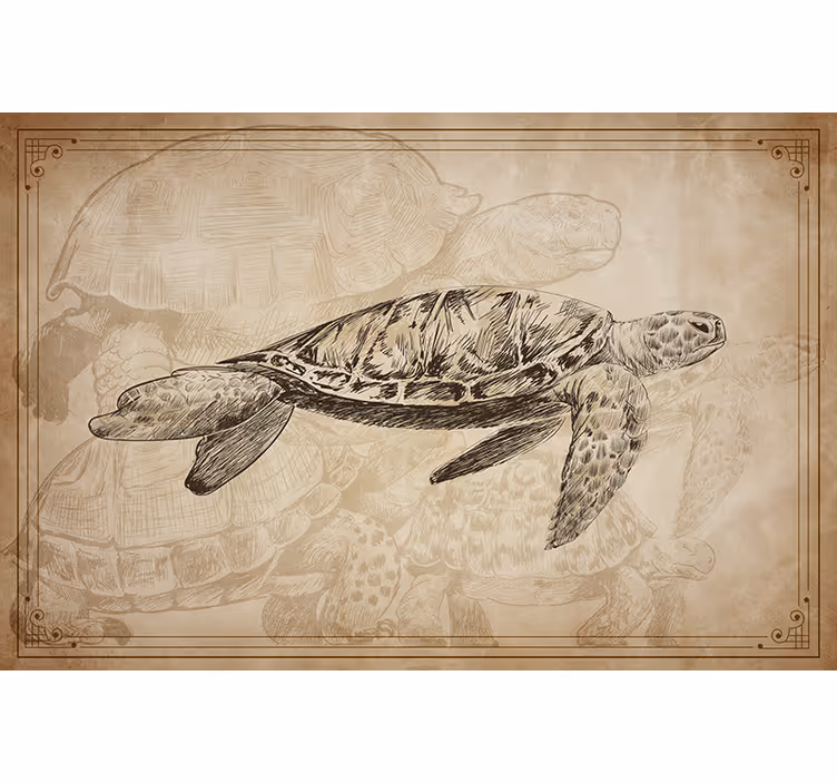 Blind beige hand-drawn turtle designs - TenStickers