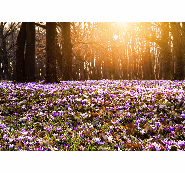 Living room blind with beautiful purple crocus design - TenStickers