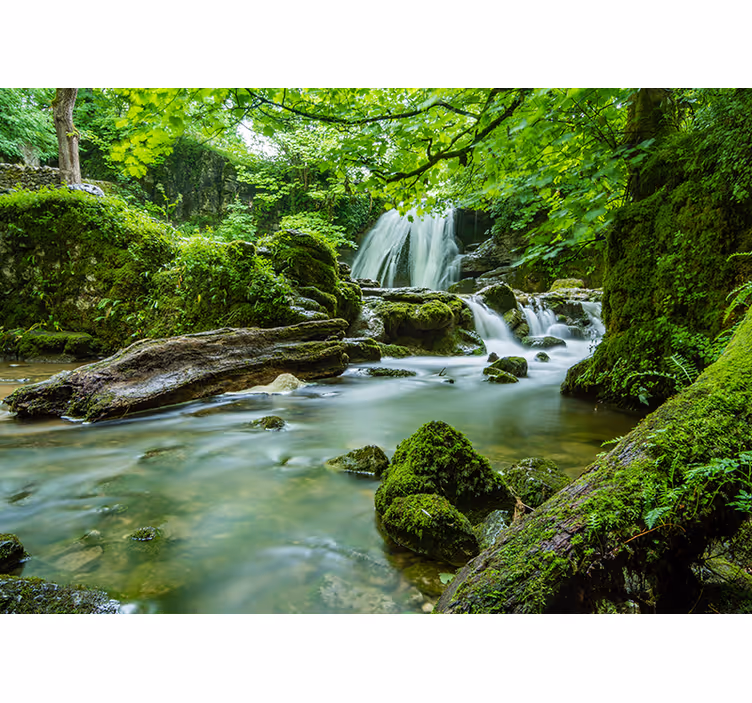 Blind bedroom 3d forest mural with waterfall river - TenStickers