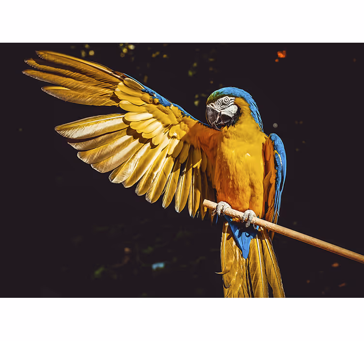Blind bedroom tropical birds design - TenStickers