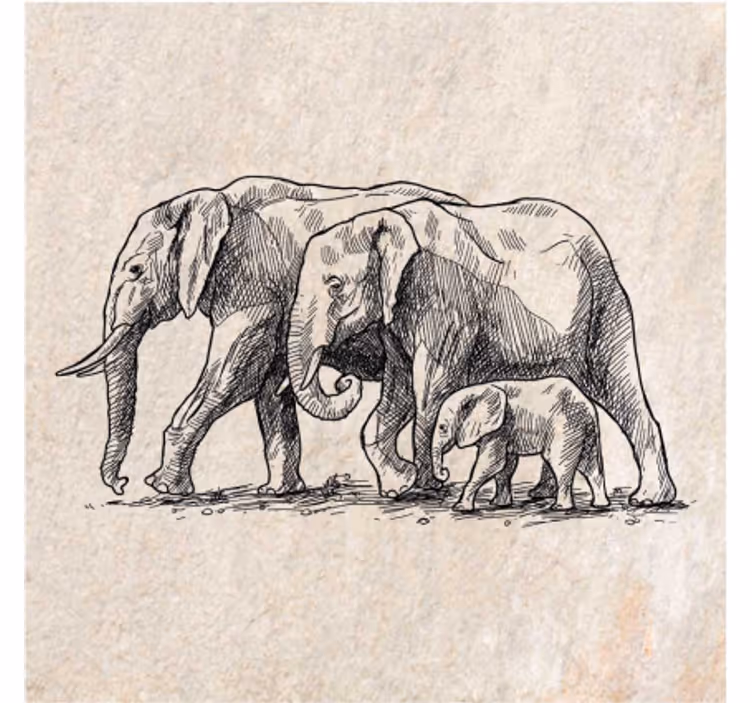 Animals blind sketch of elephants - TenStickers