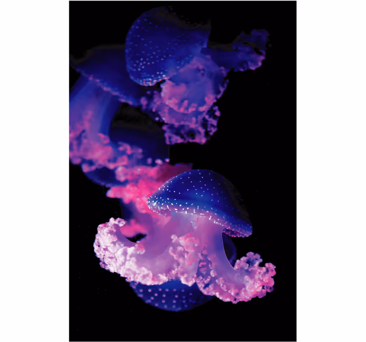 Bathroom blind purple jellyfish - TenStickers
