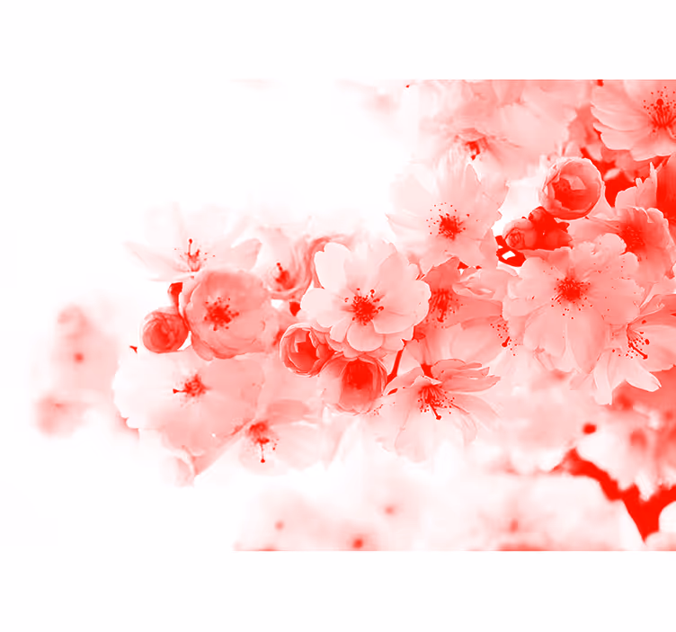 Zen blind red bush wallpaper - TenStickers