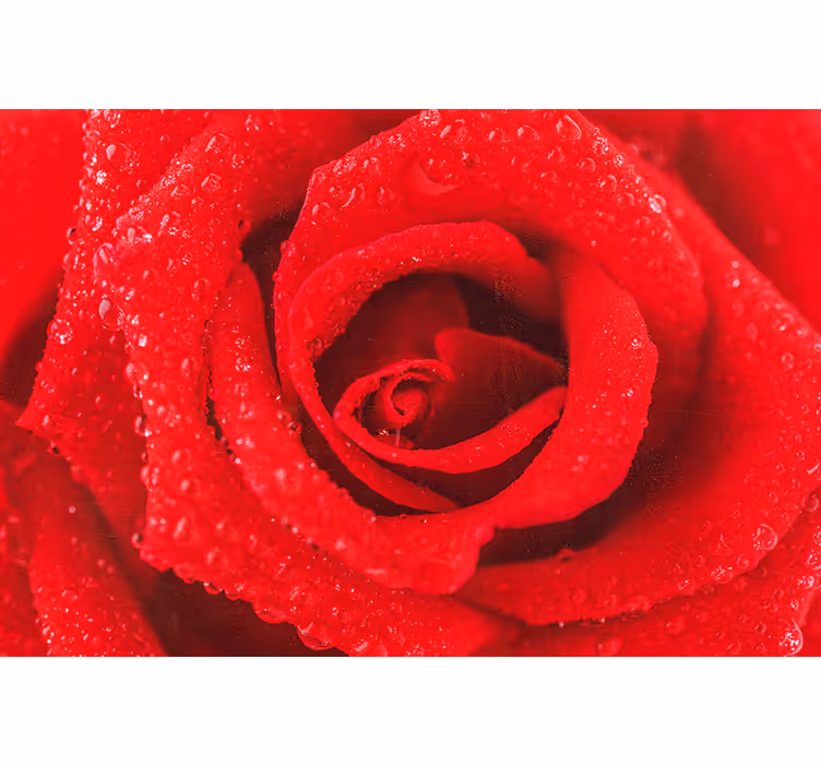 Red blind with rose flower design - TenStickers