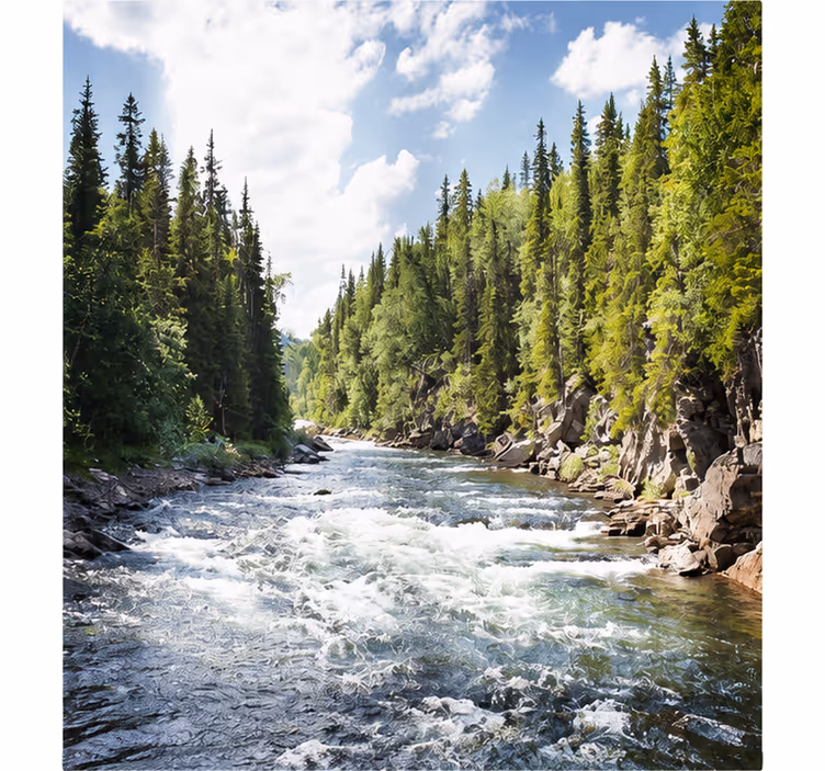 Living room blind lake in forest - TenStickers