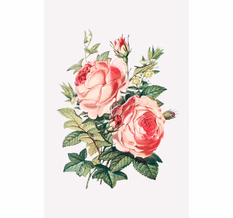 Romantic rose blooms blind flowers and plants - TenStickers