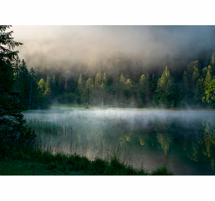 Misty Forest Reflection tree blind - TenStickers