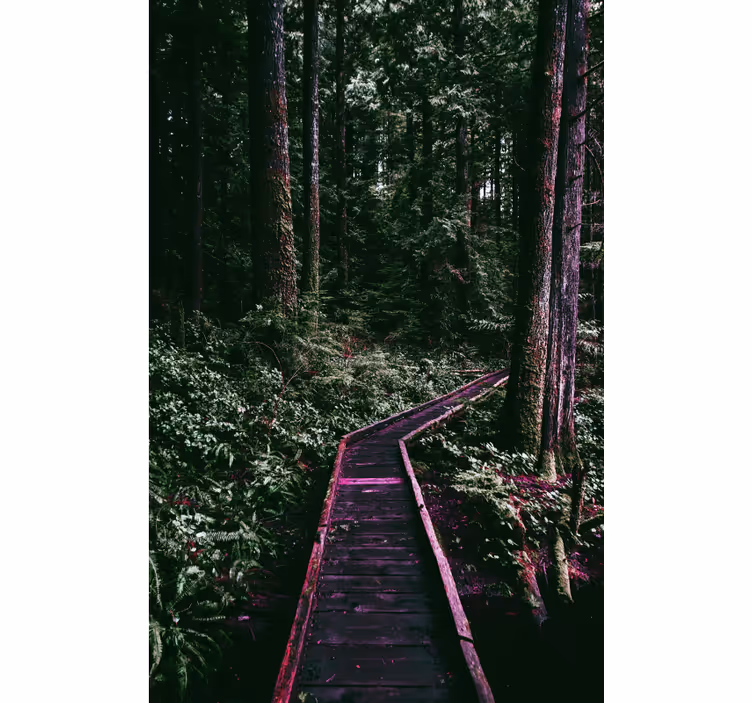 Forest Pathway tree blind - TenStickers