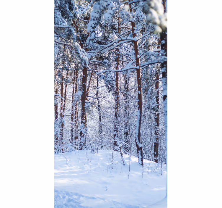 Snowy Pine Forest tree blind - TenStickers
