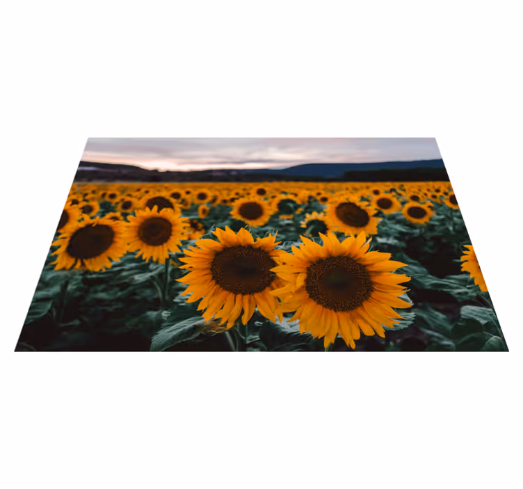 Original placemats sunflower field view - TenStickers