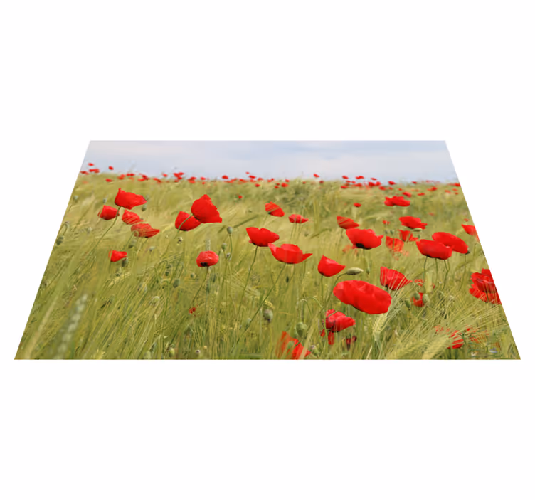 Original placemats poppy field placemats - TenStickers