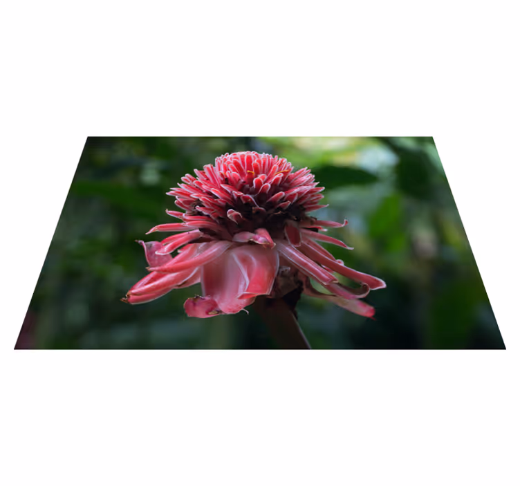Original placemats tropical floral design - TenStickers