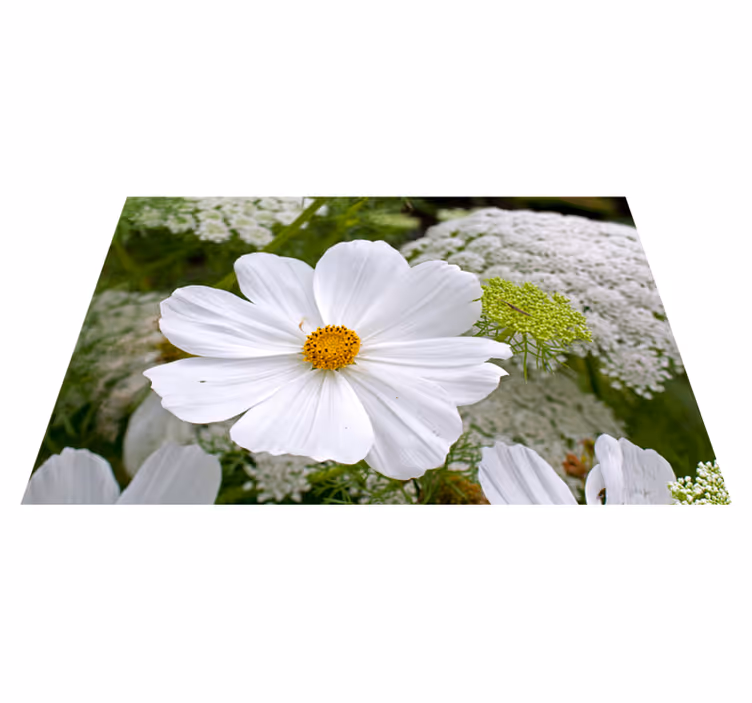 Original placemats elegant white blossom - TenStickers