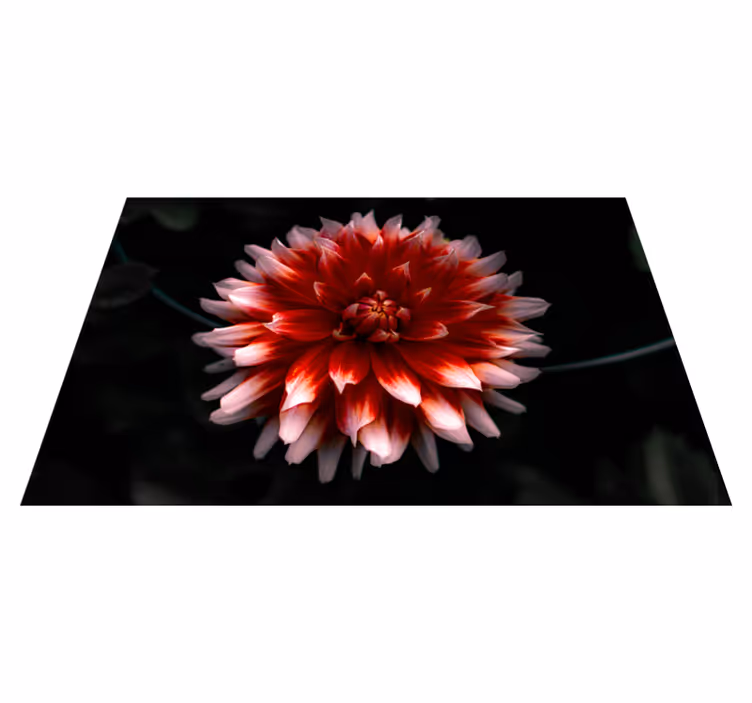 Original placemats crispy seaweed dish - TenStickers