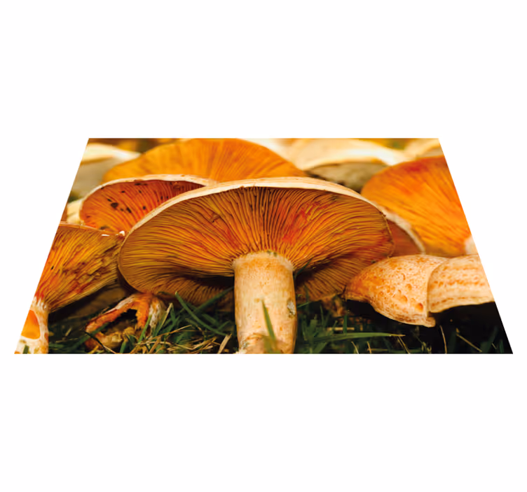 Original placemats mushrooms and ramen delight - TenStickers
