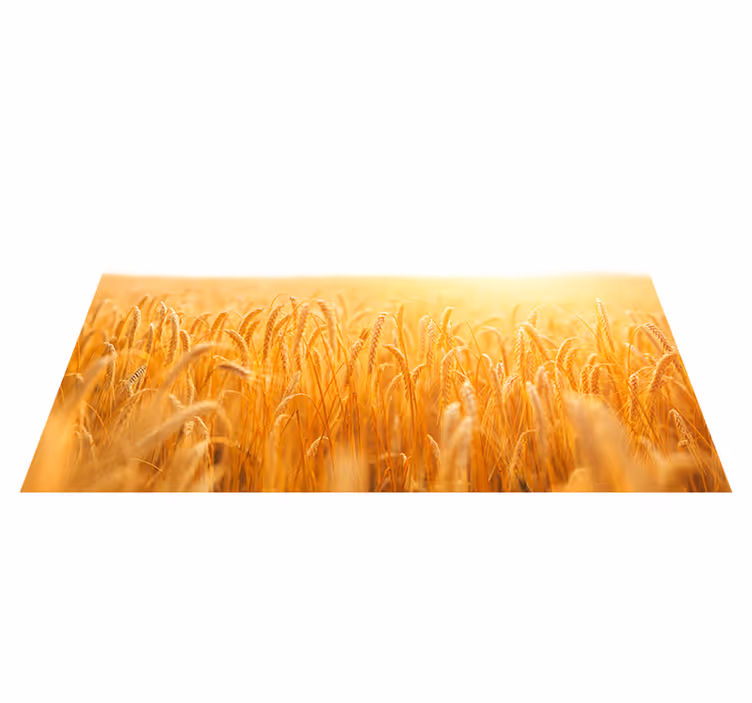 Modern placemats breakfast with eggs - TenStickers