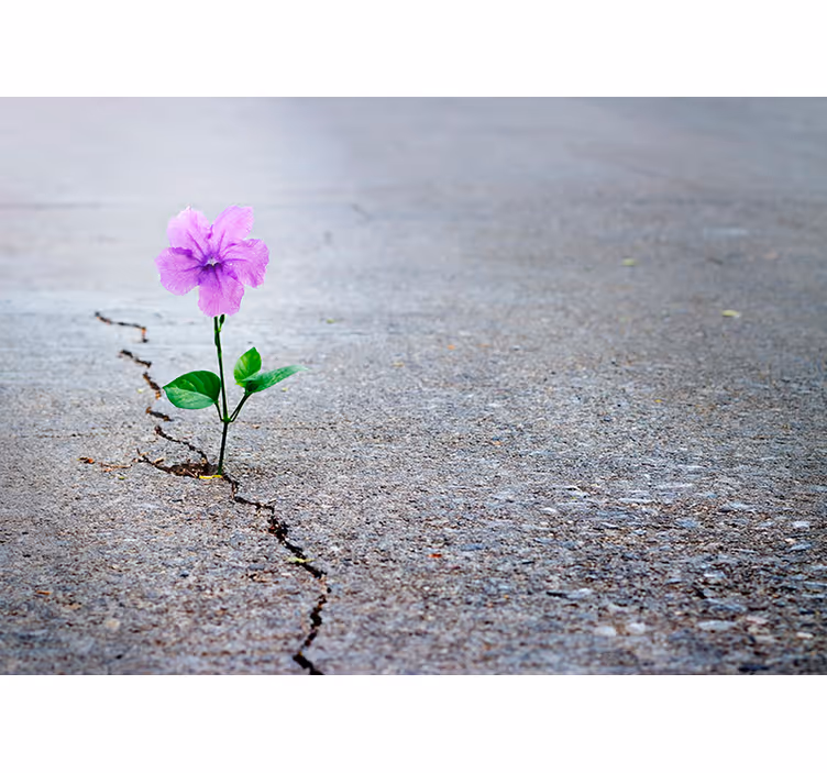 3D Flower Mural Wallpaper - TenStickers