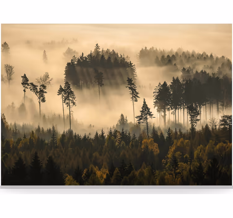 Forest wall mural ethereal morning mist - TenStickers