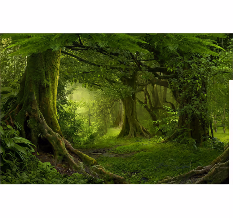 Forest wall mural lush woodland getaway - TenStickers