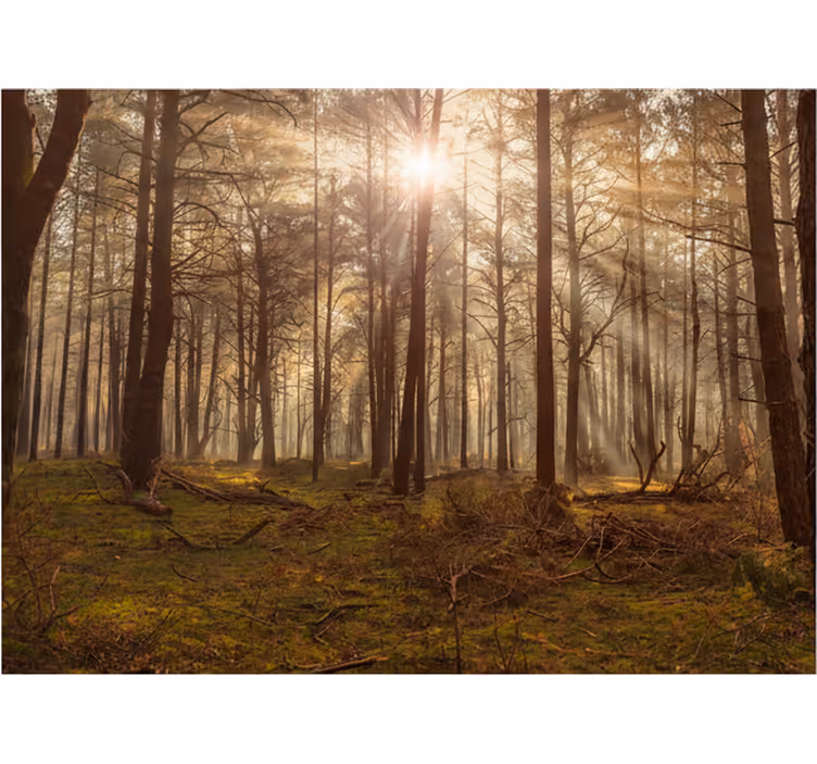 Forest wall mural golden wildlife retreat - TenStickers