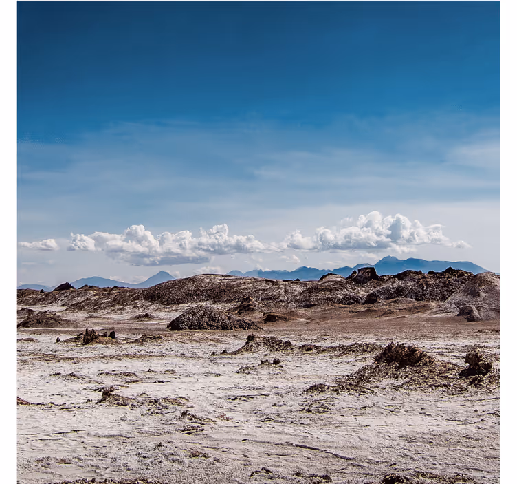 Desert wall mural in desert aesthetic colours - TenStickers