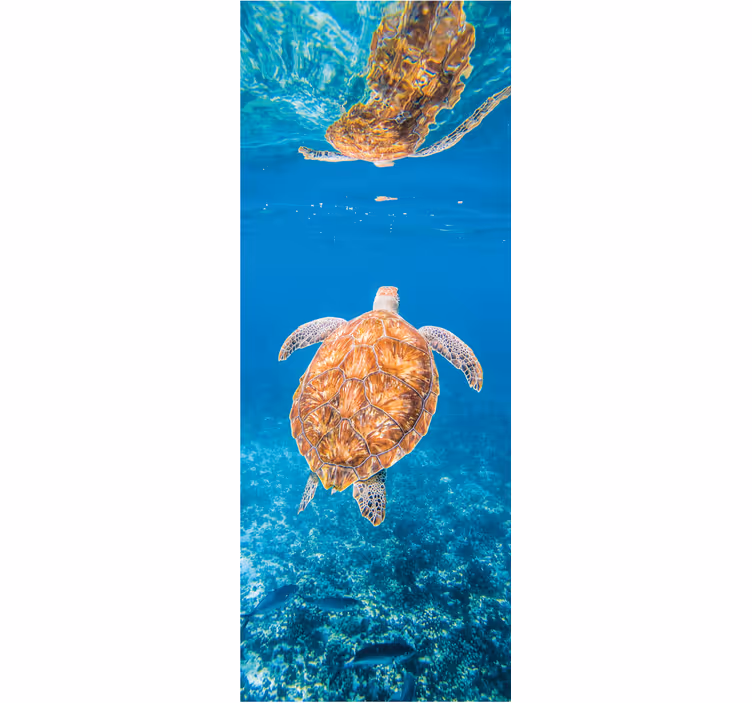 Wall mural bathroom beautiful underwater turtle - TenStickers
