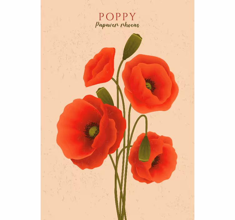Beige wall mural poppies in bloom - TenStickers