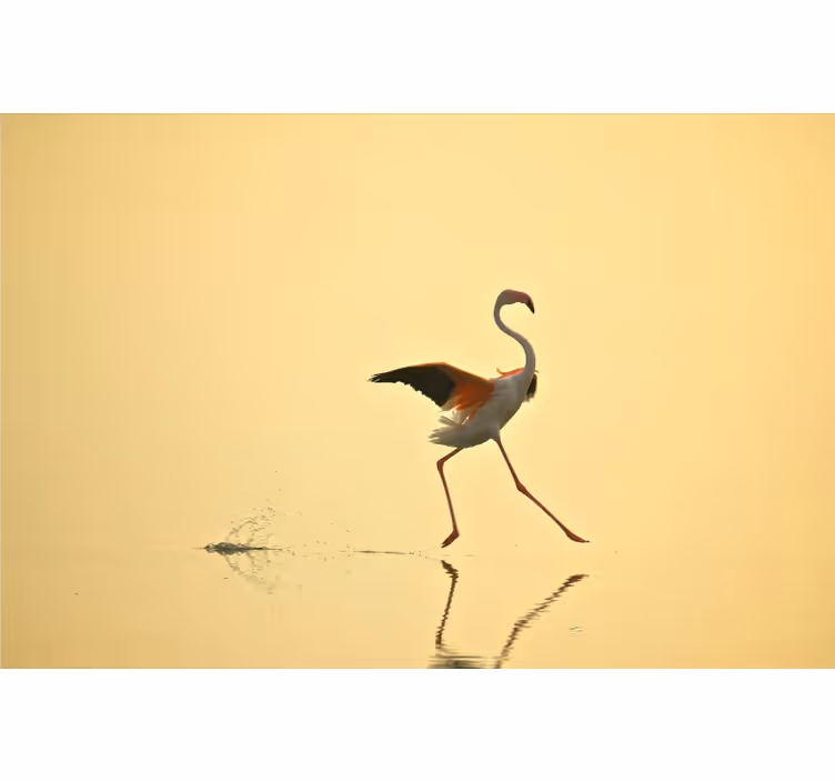 Yellow wall mural of funny running flamingos - TenStickers