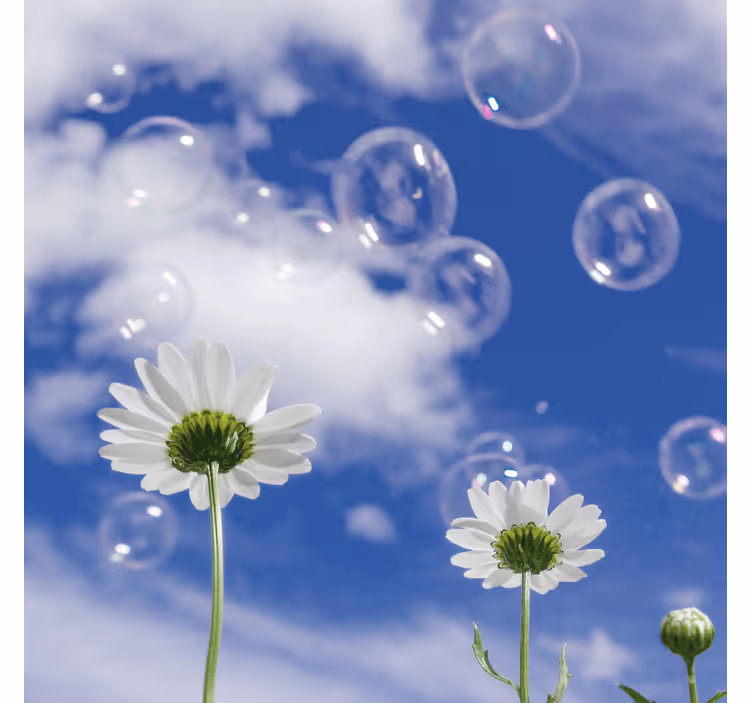 Wall mural blue daisy flower and bubbles - TenStickers