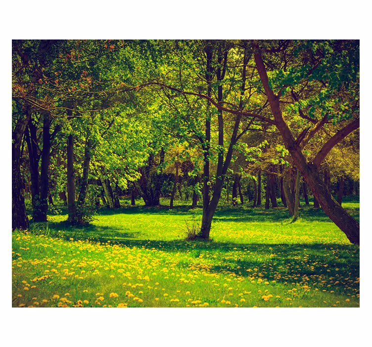 Green wall mural serene forest view - TenStickers