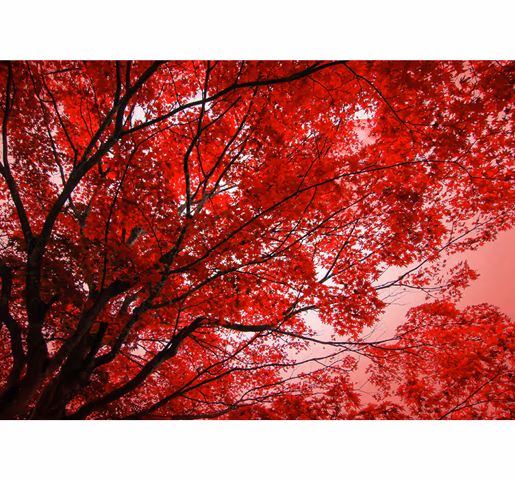 Wall mural red with crimson branches - TenStickers