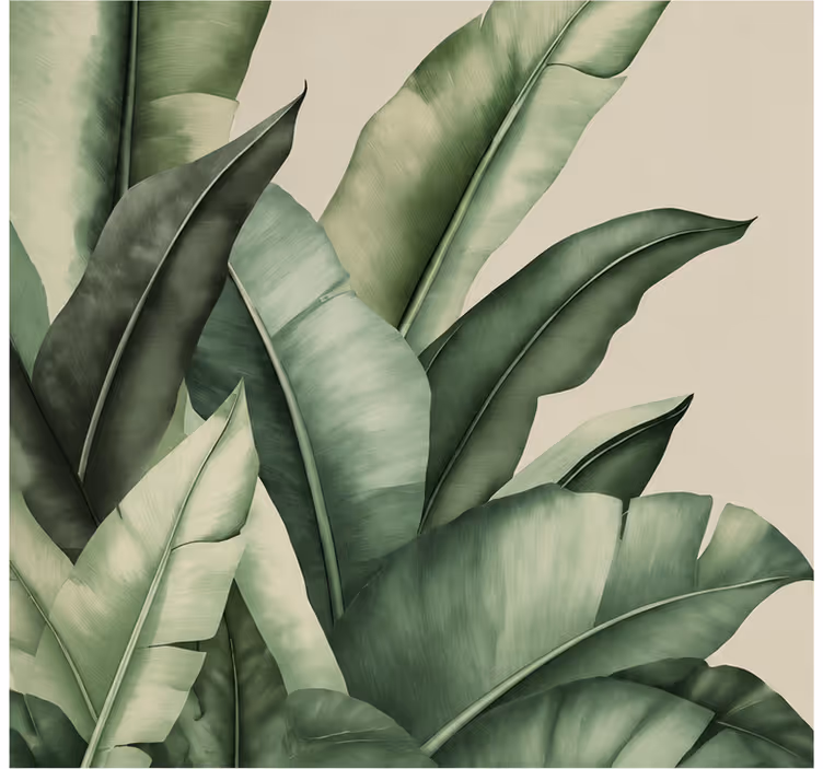 Wall mural nature banana leaves simple graphic - TenStickers