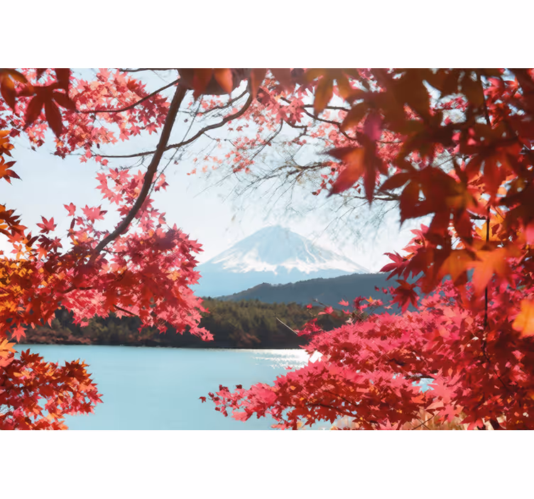 Wall mural entrance red leaves in the forest - TenStickers