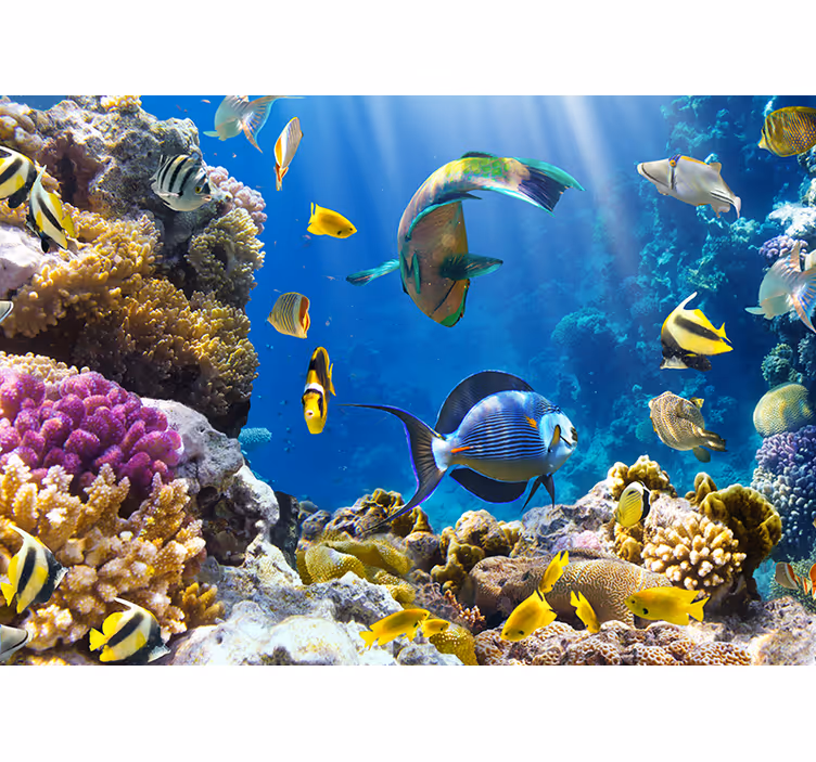 Underwater Coral Reef Wall Mural - TenStickers