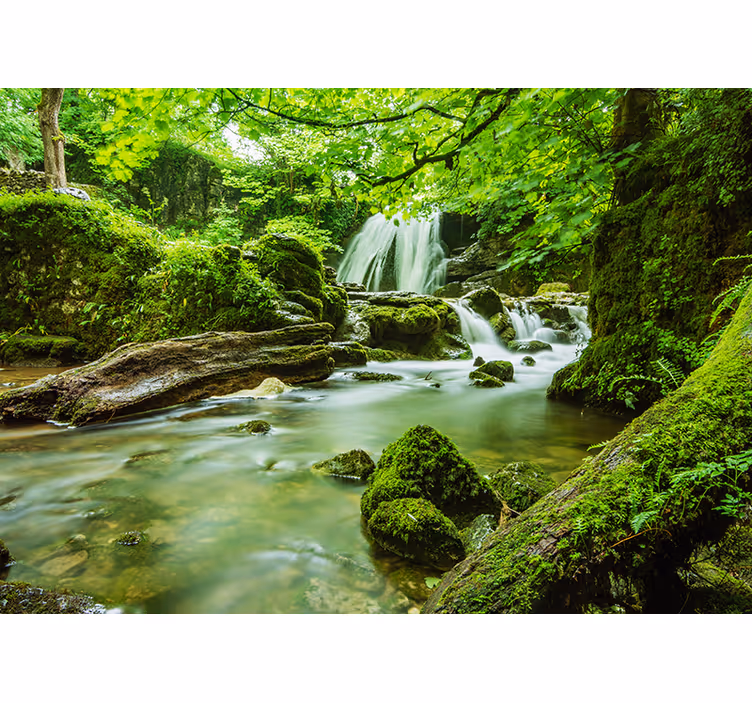 Waterfall in the jungle landscape wall mural - TenStickers