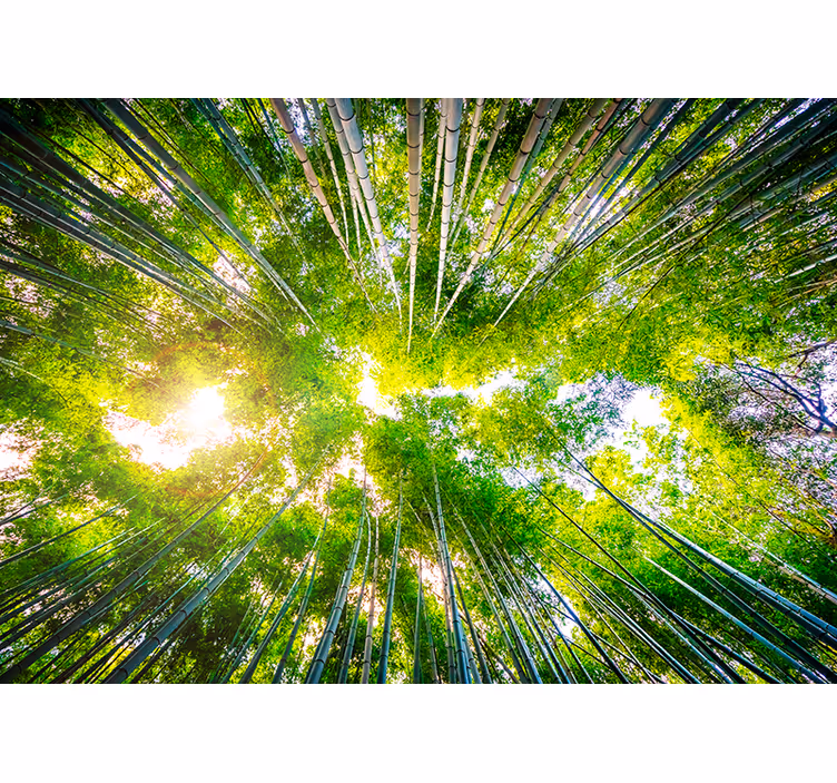 Bamboo Landscape Wall Mural - TenStickers