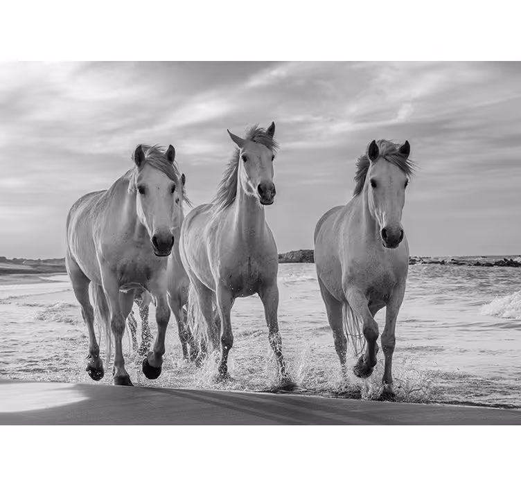 Horses running wall mural - TenStickers