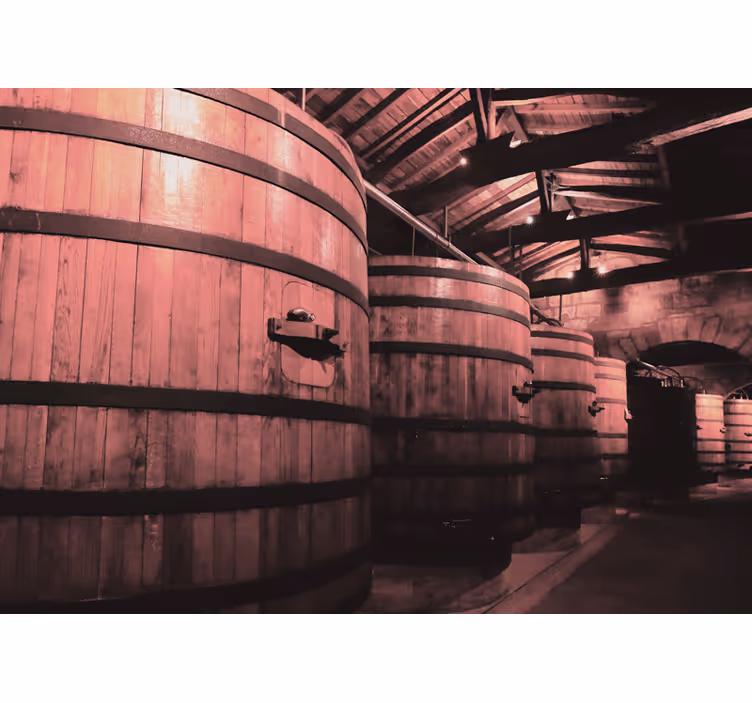 Large old wine barrels vintage wall mural - TenStickers