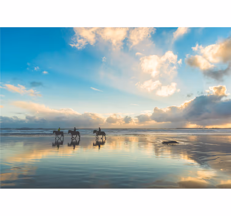 walk on the water with horses nature wall mural - TenStickers