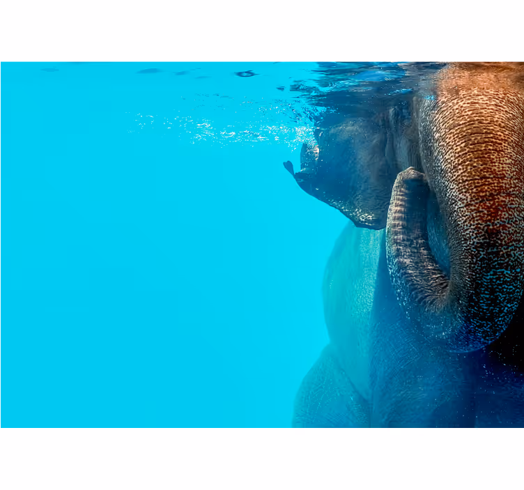 Living room elephant under the sea wall mural - TenStickers